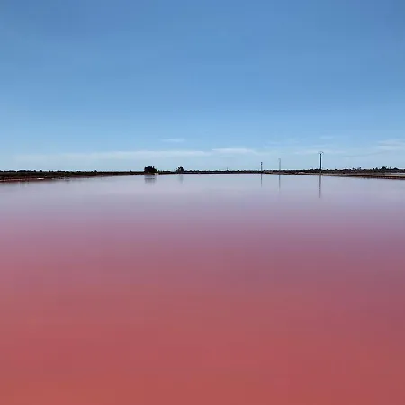Du Saunier Maia Etang Du Roy Hébergement de vacances